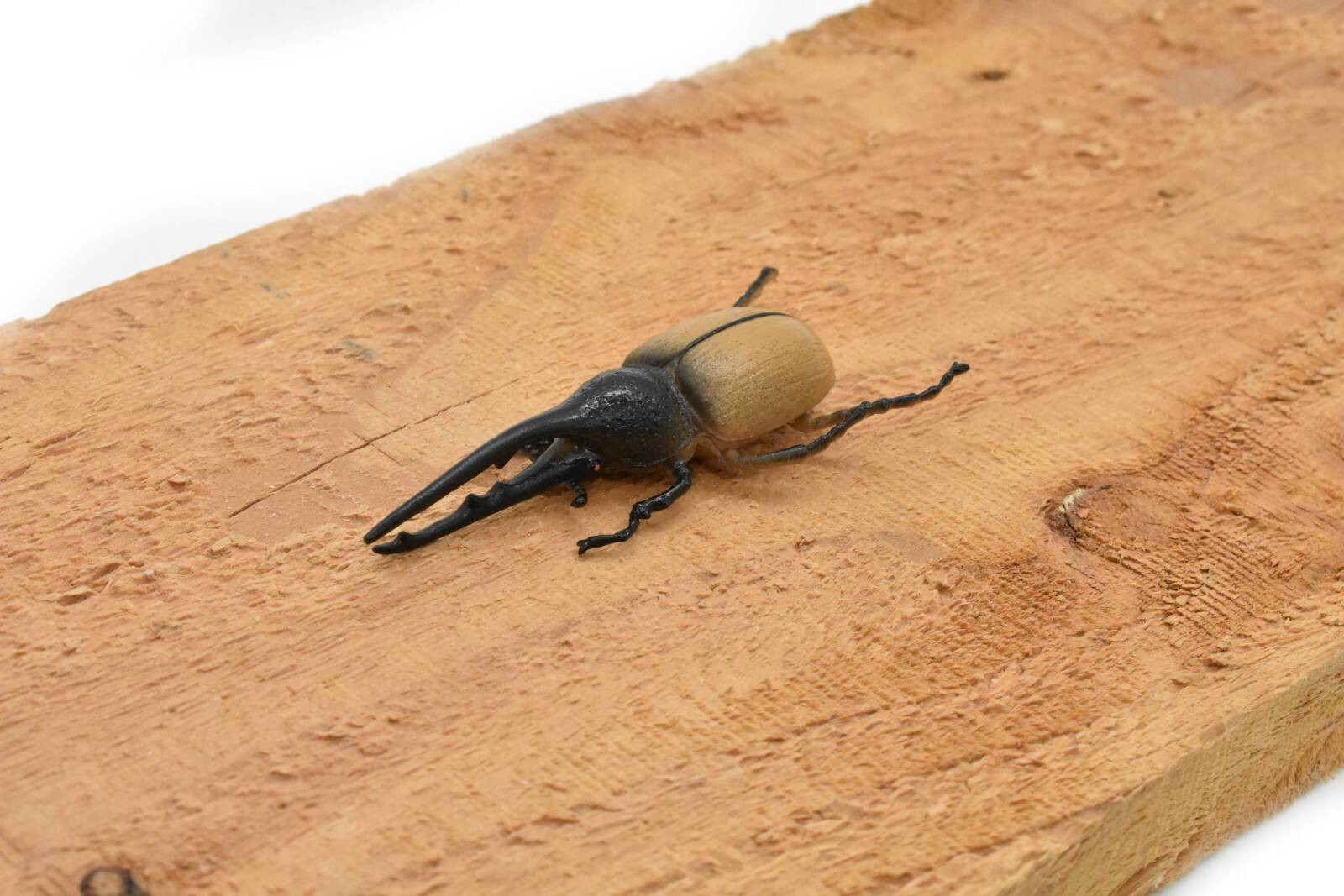 Hercules Beetle, Very Nice Rubber Reproduction 3″ CWG10 B13