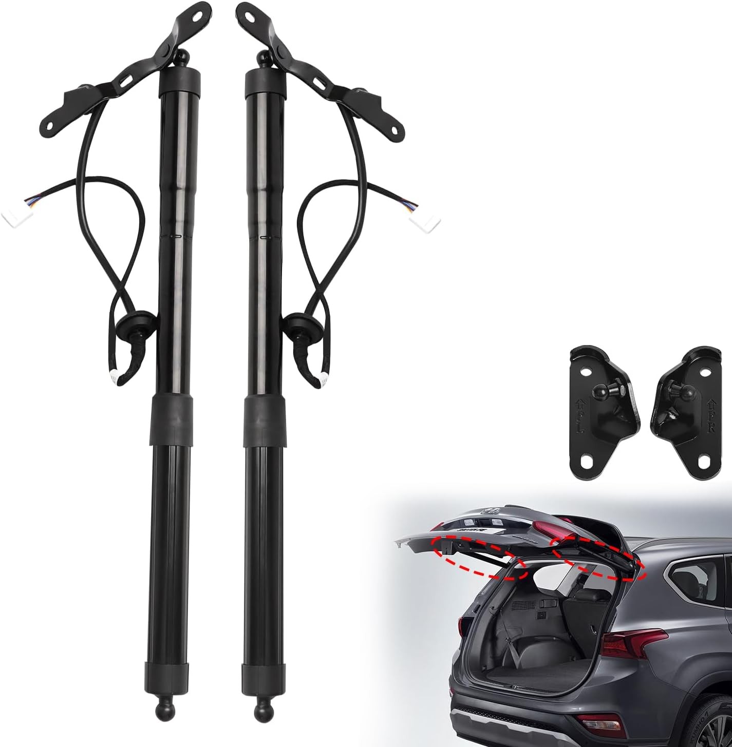 Electric Rear Hatch Lift Struts 2013-2018 Rav4 Left Right