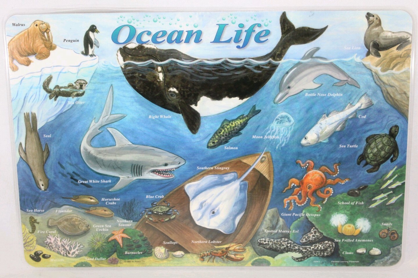 Painless Learning Placemat Ocean Life New Educational