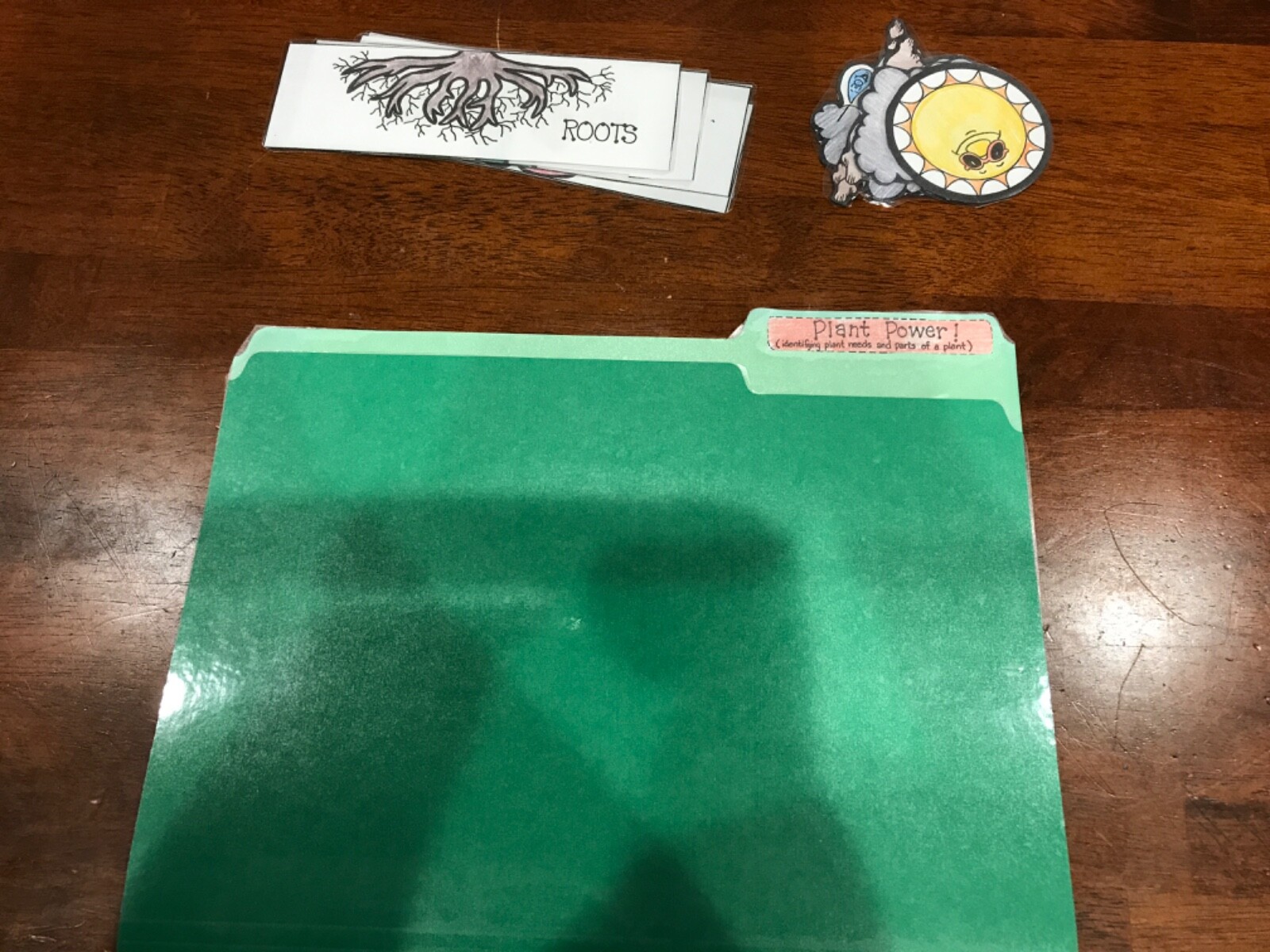 Plant Power! Parts of plant Science grades k-4 file folder game