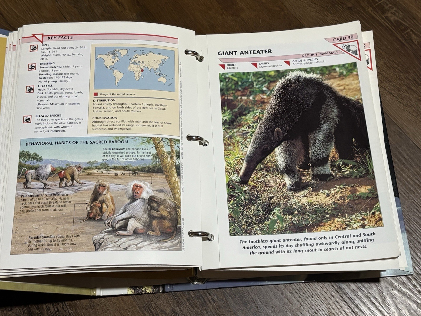 Wild Life Fact File Binders 1-11 Groups Home School Animal Identification
