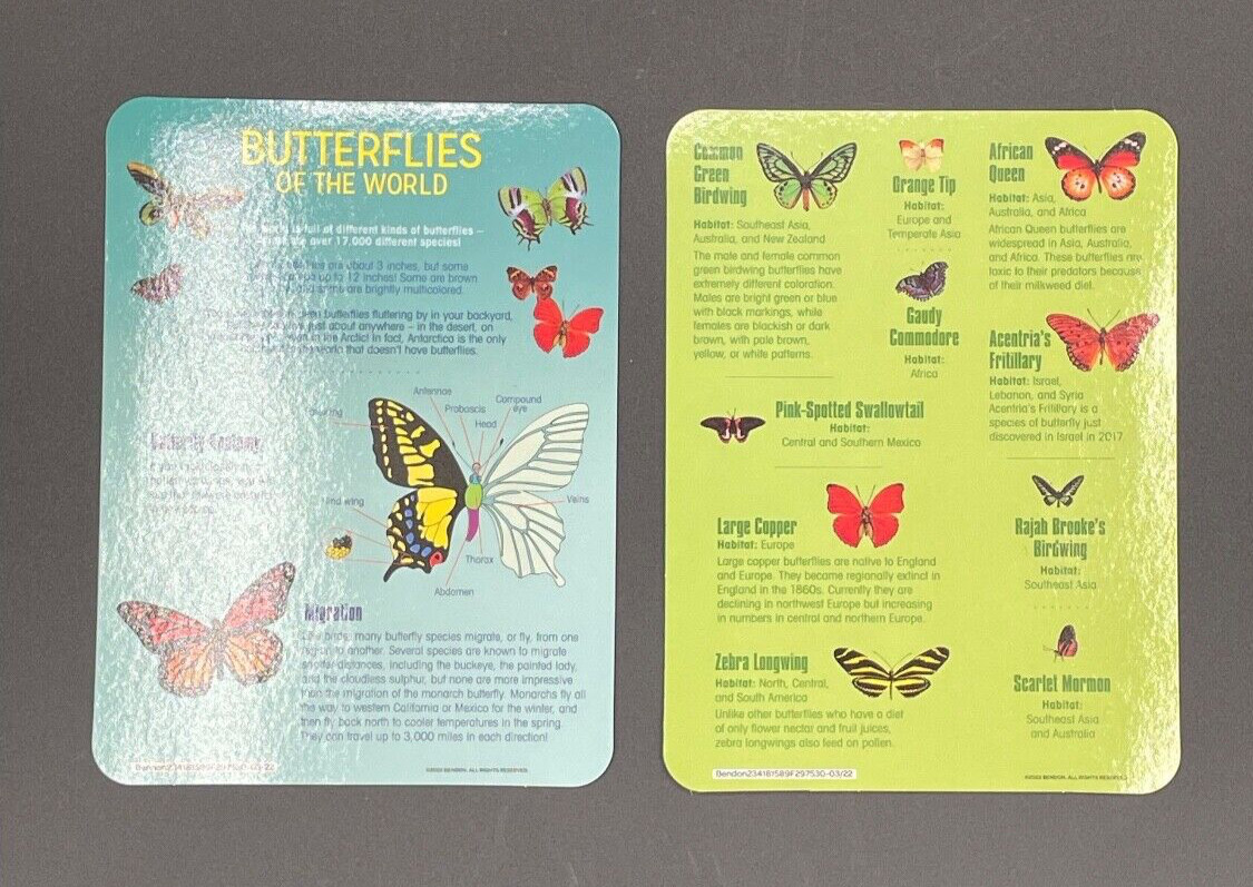 Magnetic Learning Activity S.T.E.M. Educational, Set of 3