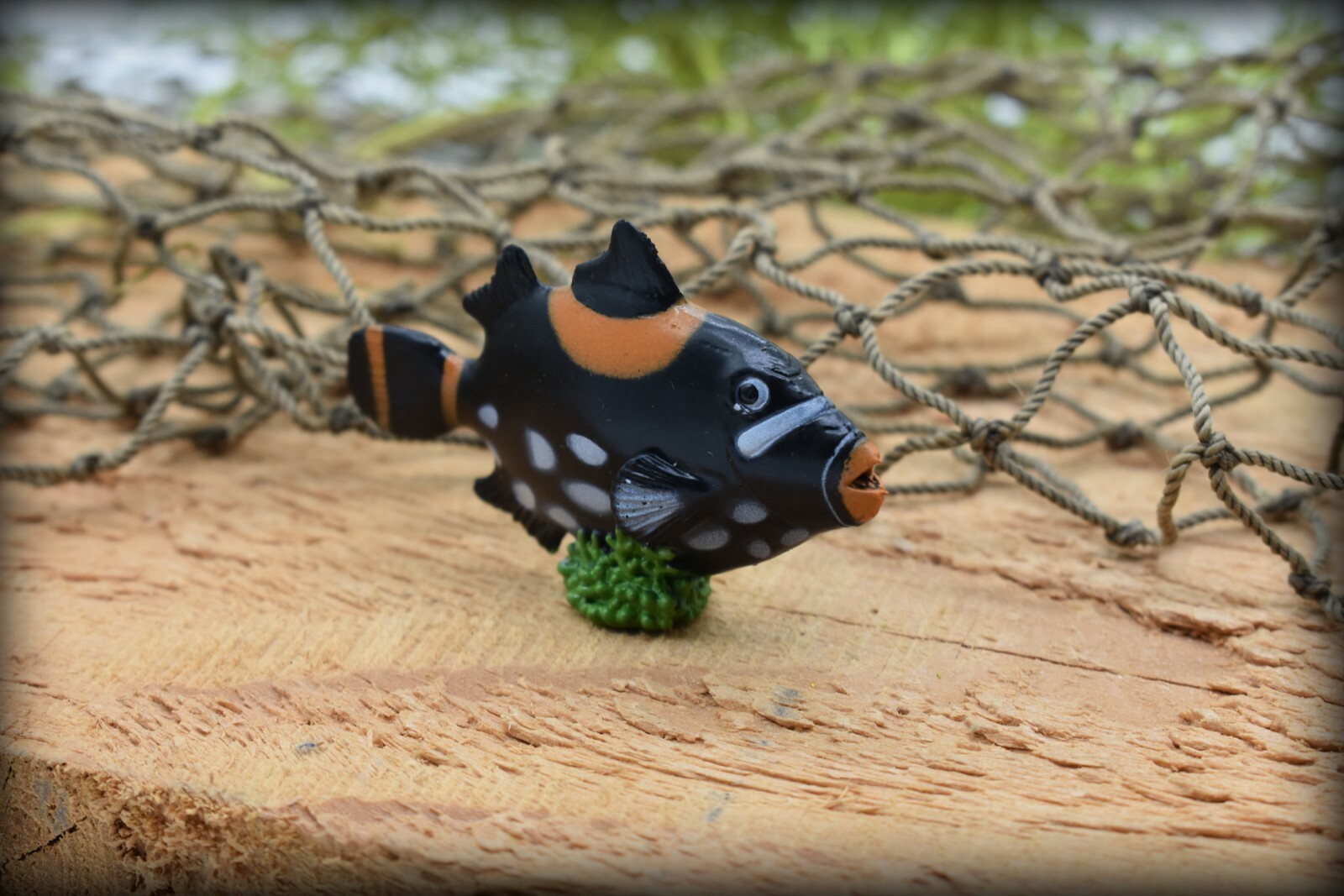 Toy Clown Triggerfish, Tropical, Rubber Fish Design, Realistic Model F1789B145