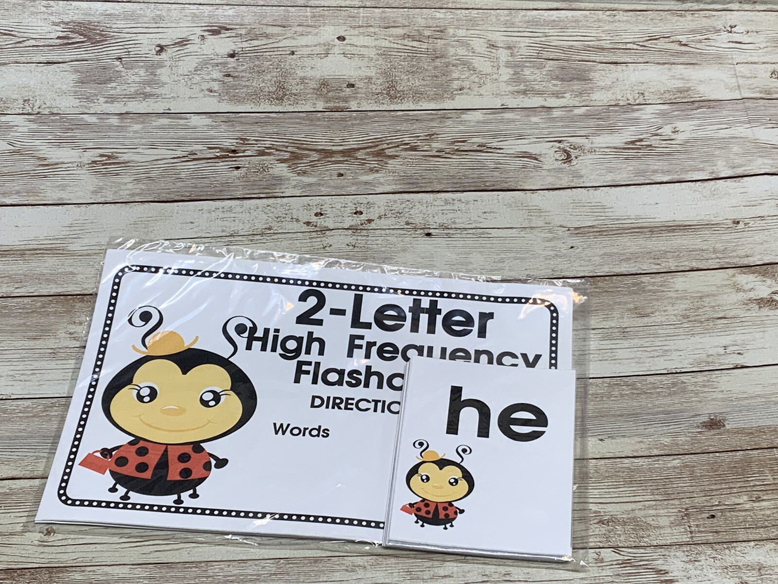 Lady Bug – Themed Learning Centers – Laminated – 2 Letter Words