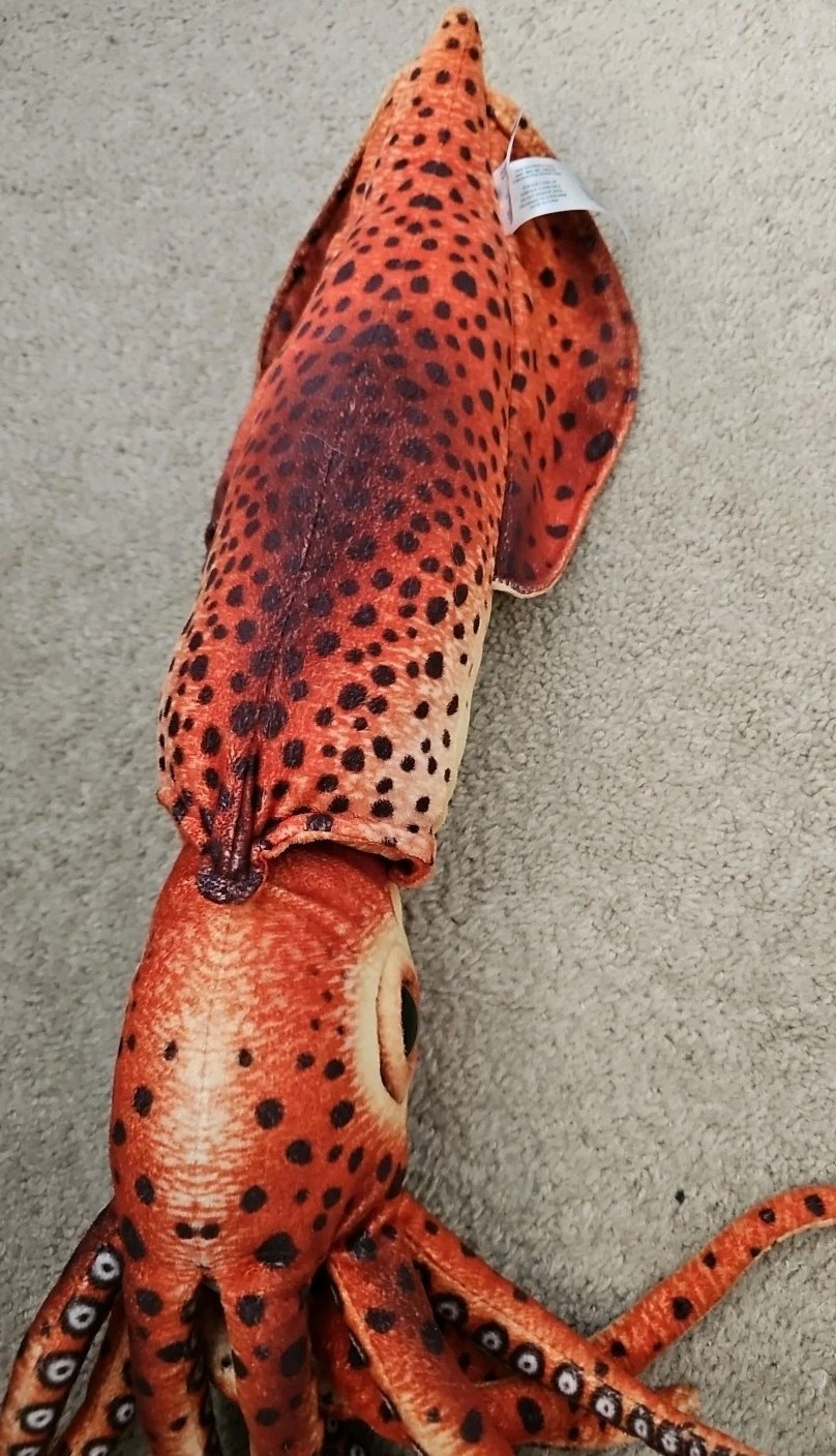 Giant Squid Realistic Cute Stuffed Animal Plush Toy Kids Gift 24″ Fiesta