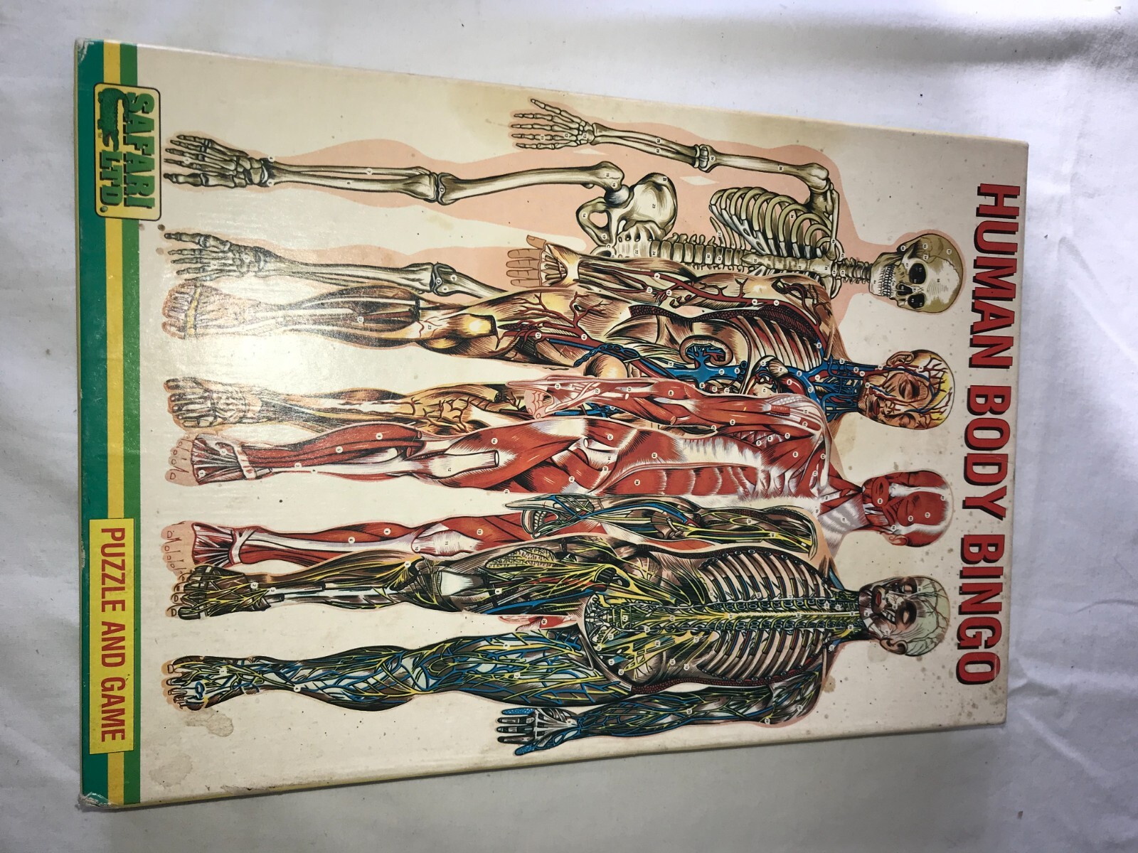 Vintage SAFARI LTD 9590-12 HUMAN BODY BINGO Puzzle & Game ANATOMY Complete w BOX