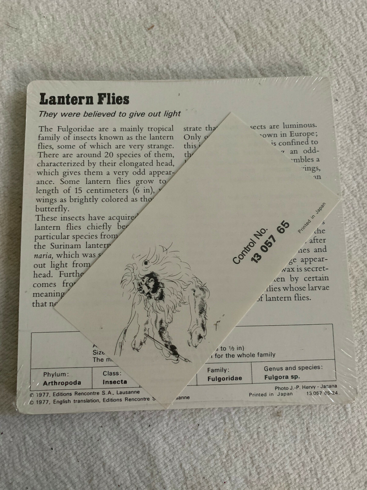 1977 Editions Rencontre S.A. Lausanne Animal Flash Cards Mosquito Fish 24-pack