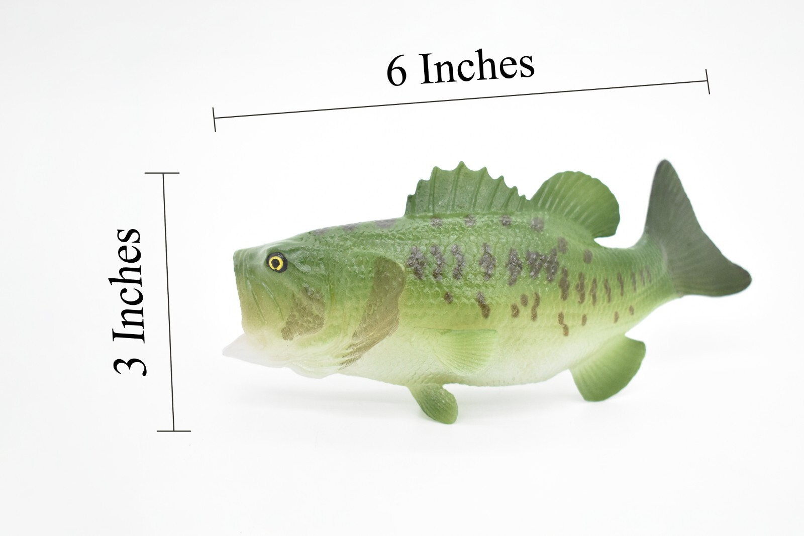 Largemouth Bass, Fish, Realistic Rubber Model, Hand Painted Toy Figurine 6″