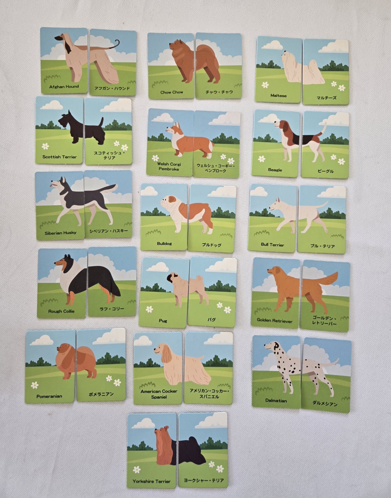 Daiso Picture Matching Cards, 32 Dog Breed for Japanese/English Learners