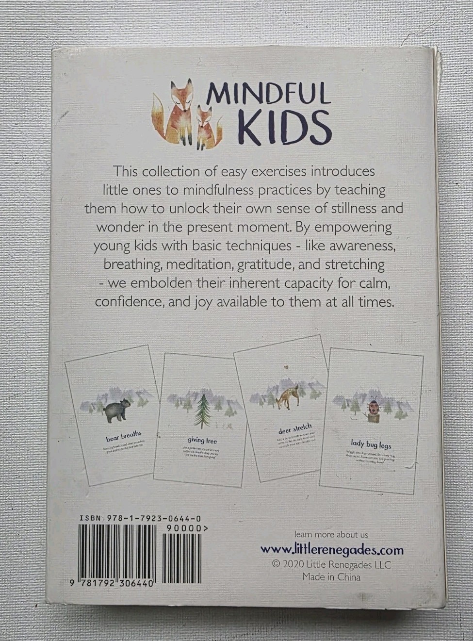 Little Renegades Mindful Kids Cards Everyday Exercises for Confidence & Joy