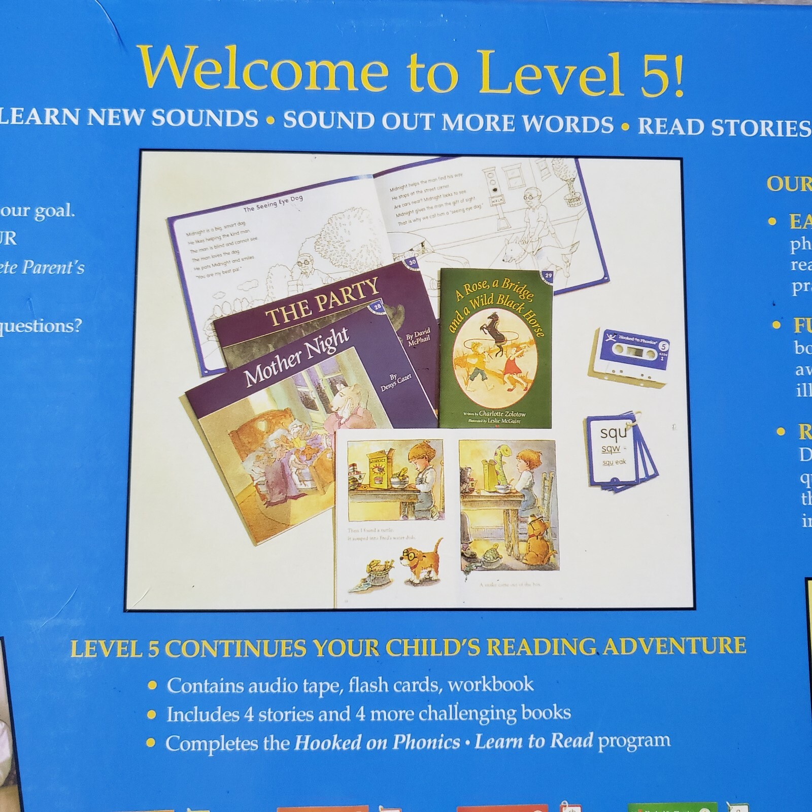 Hooked on Phonics Level 5 Workbook Audio Learning Homeschool Learning *NEW* – Y