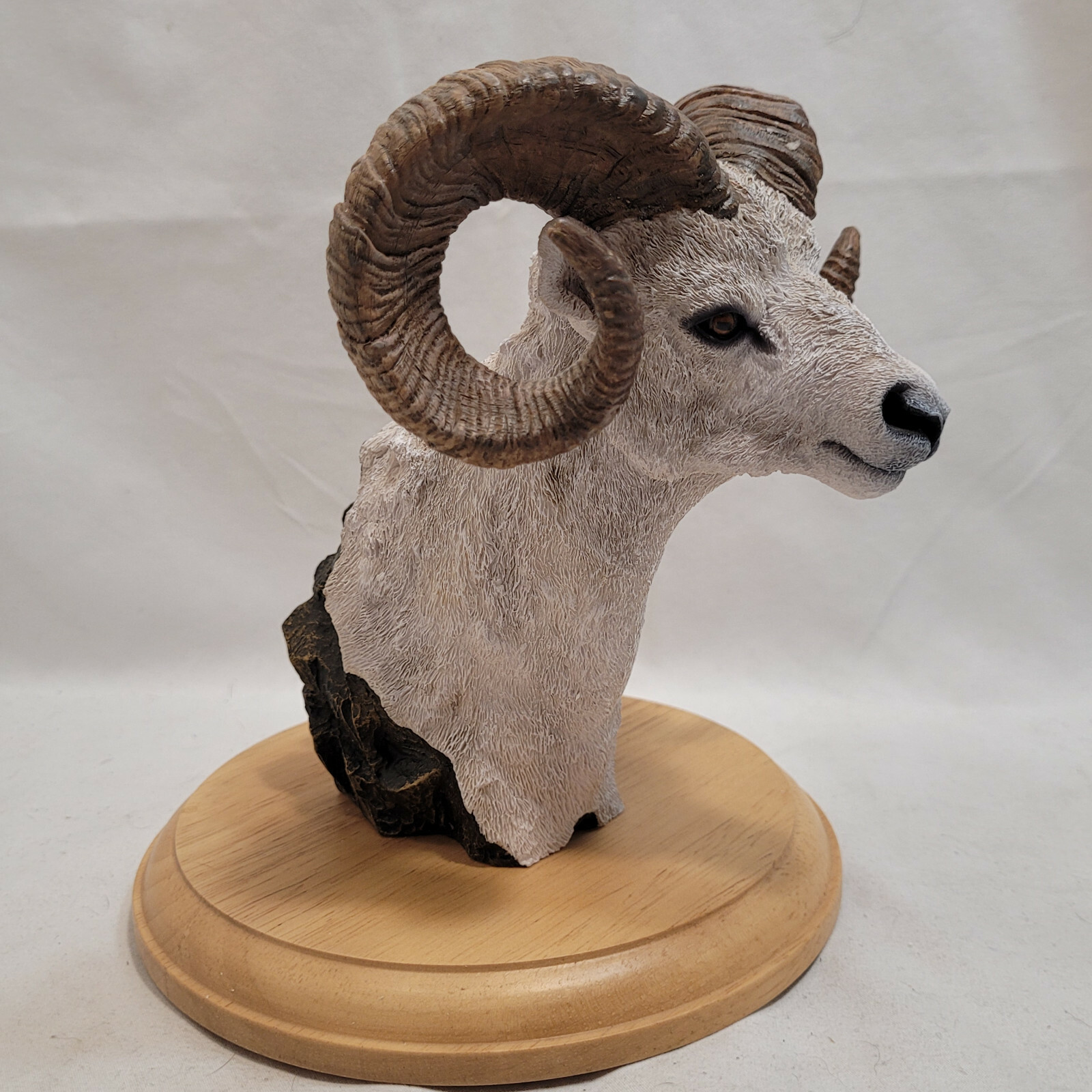 Simpkins Animal Dall Sheep / Ram Bust # 51476RB Wood Base 7″ Tall