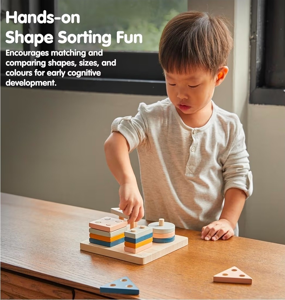 NEW PlanToys® Geometric Sorting Board Montessori Shape, Size, Color Learning Toy