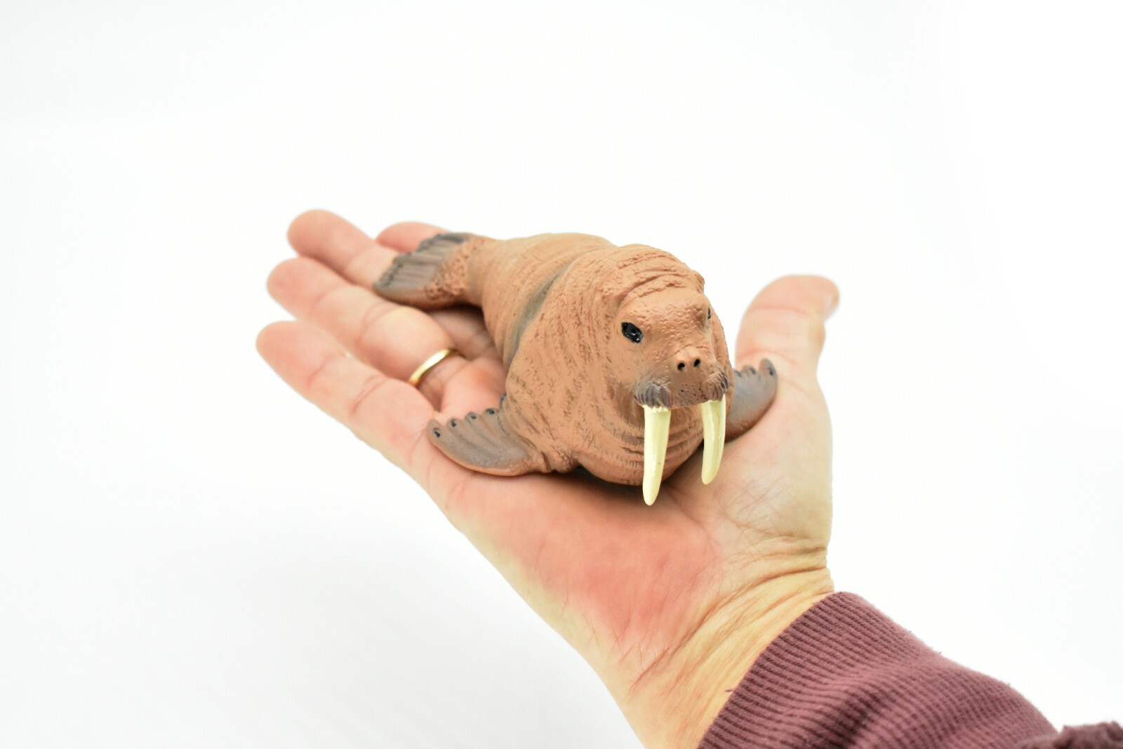 Walrus, Realistic Toy Hard Resin Model Replica, Kids Educational Gift 5″ OK05