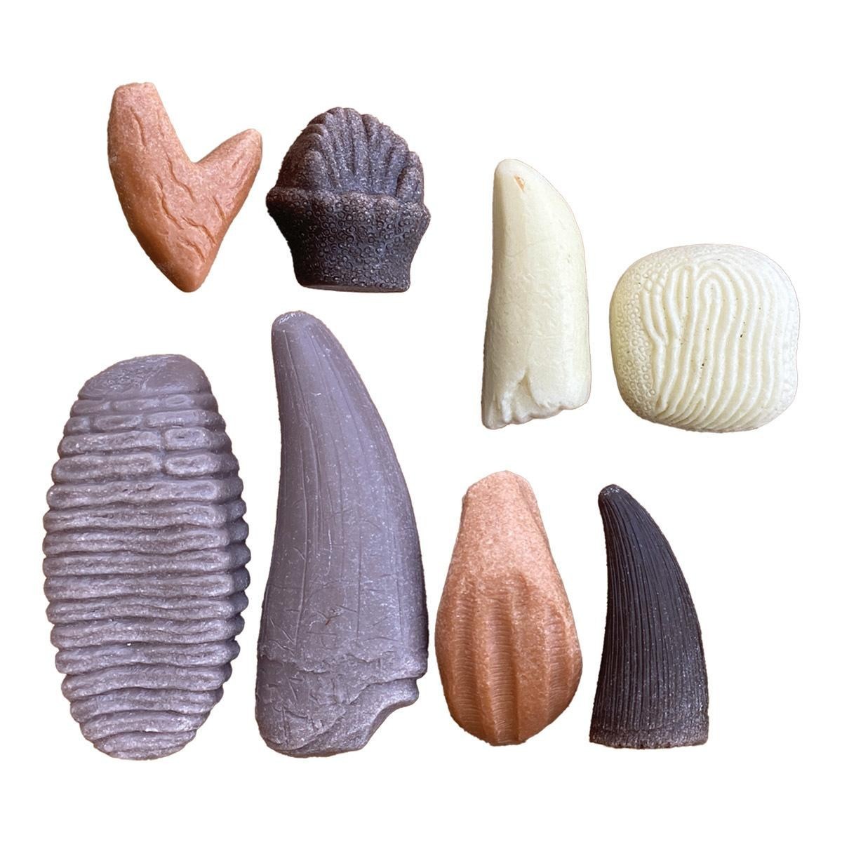 Yellow Door Sensory Play Stones: Prehistoric Teeth – 8 Pieces