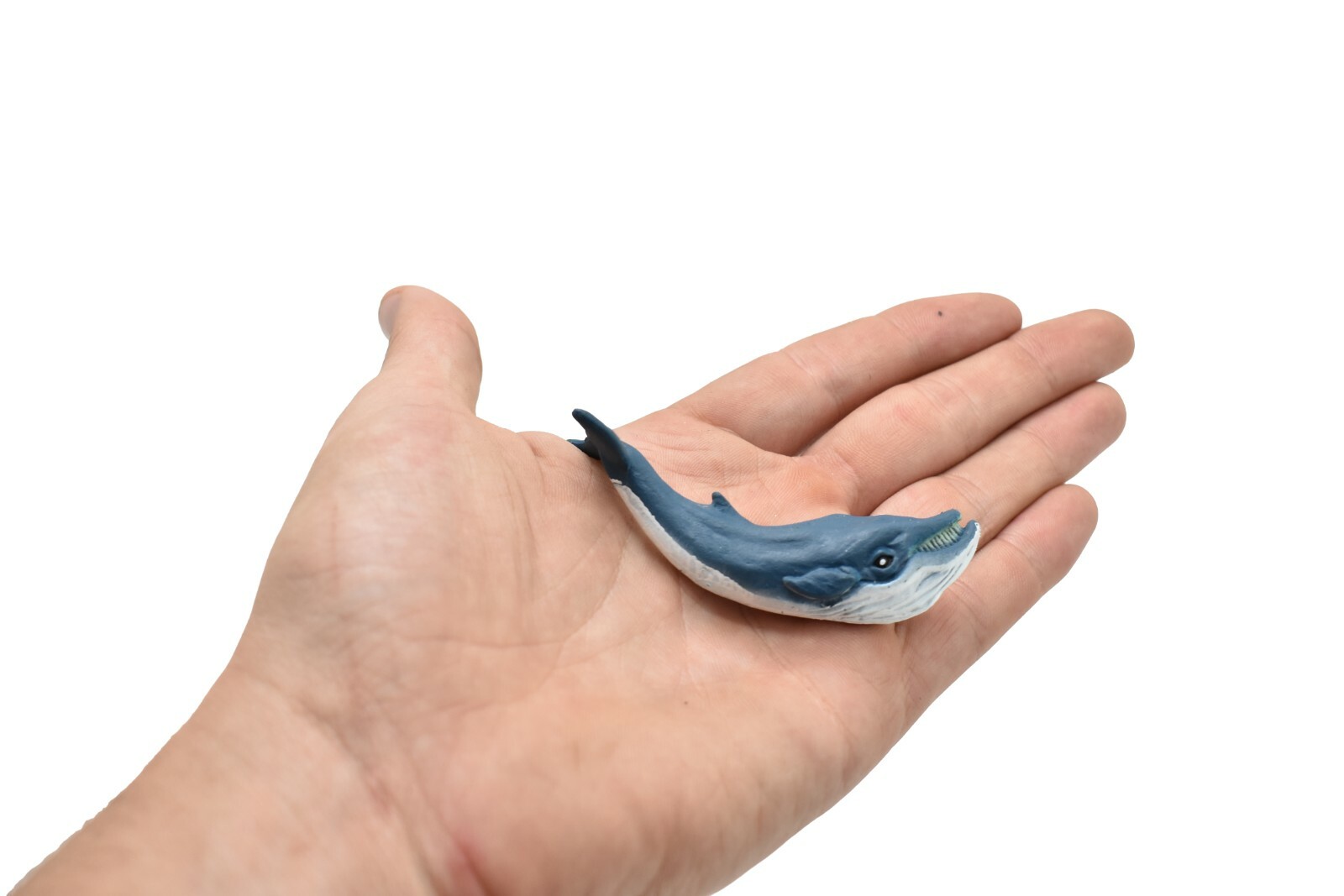 Right Whales Plastic Replica 3Long ~ F3904-B9