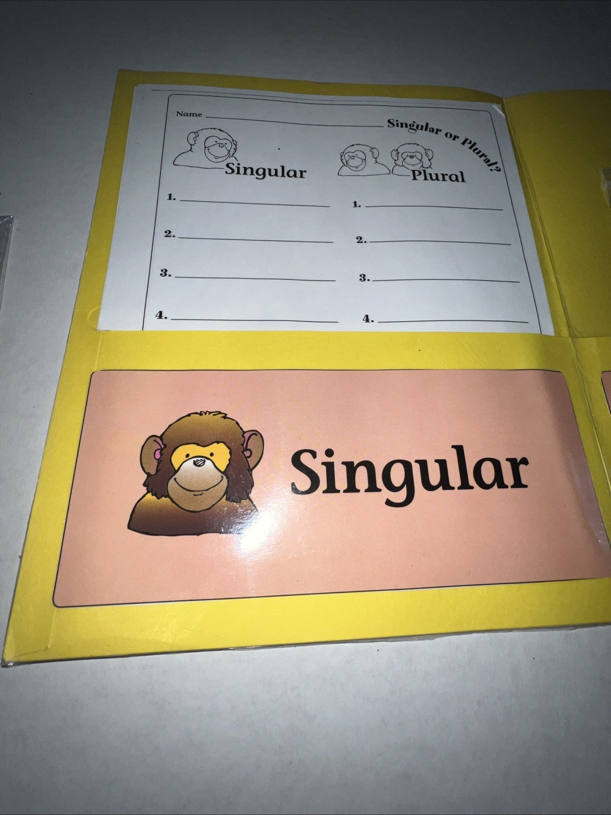 Singular Or Plural? Grades K-1 File Folder Game