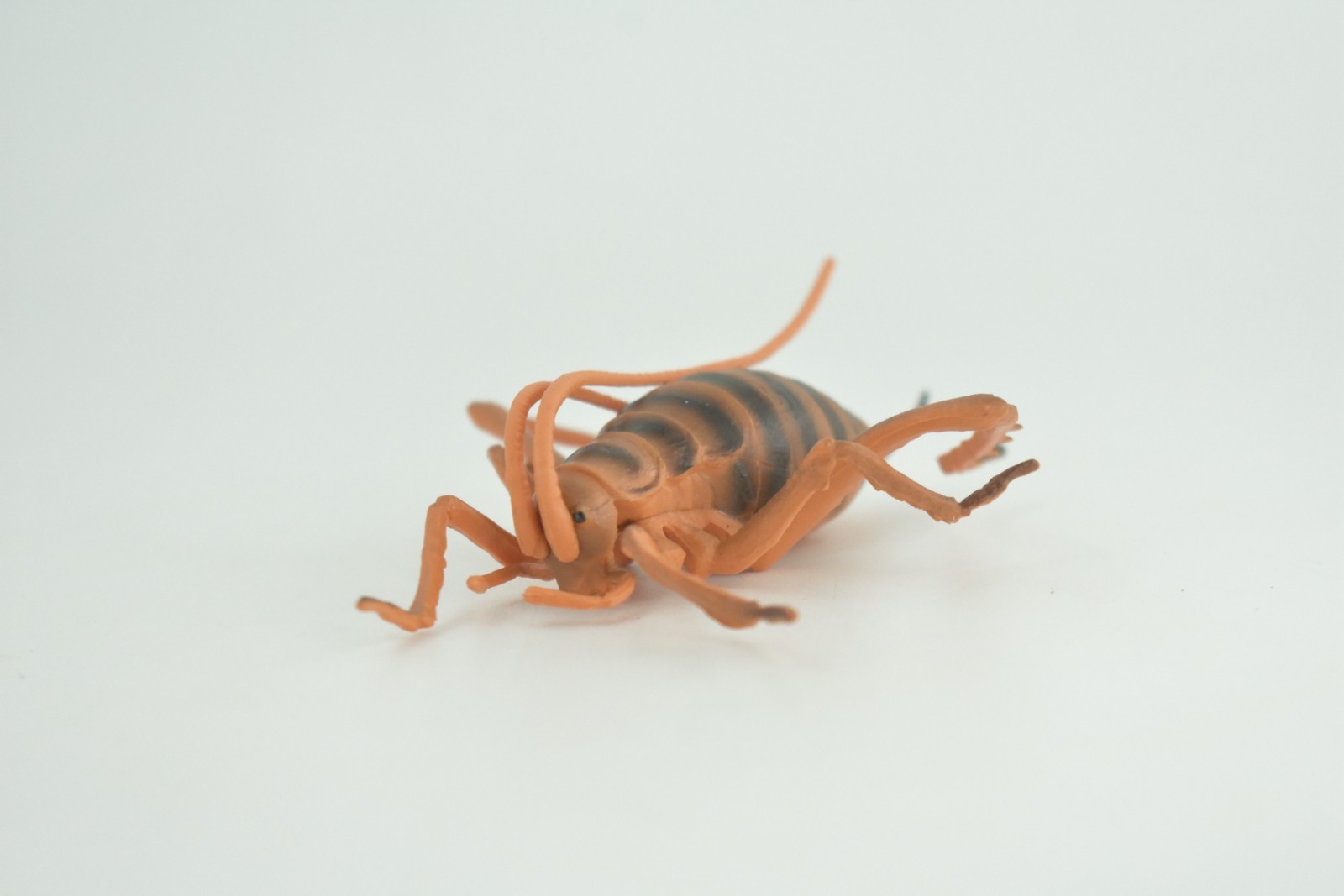 Cricket Toy, Hand Painted, Hard Rubber, High Quality, Realistic Bug, Gift CH1025