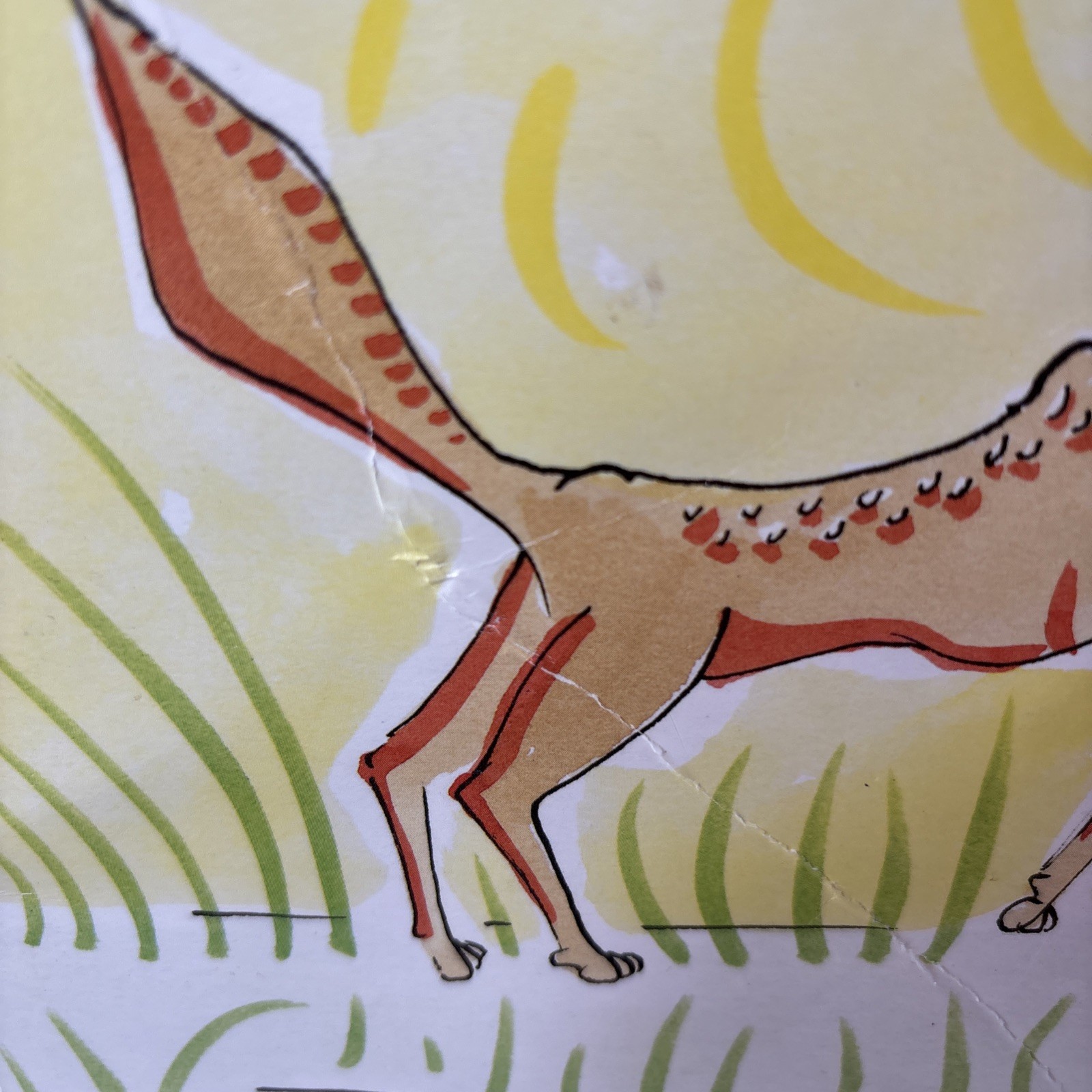 8×10 Alphabet Flash Cards Based On The Jungle Grapevine Alex Beard Animal Large