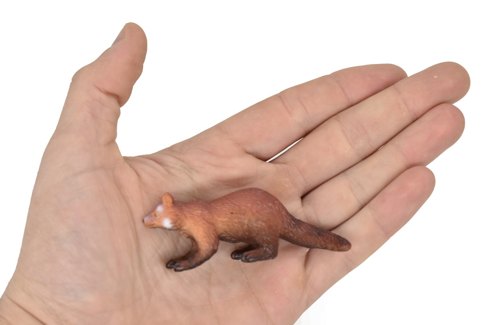 Red Panda, Museum Quality Plastic Animal Toy, Realistic Hand Painted OK18 B617