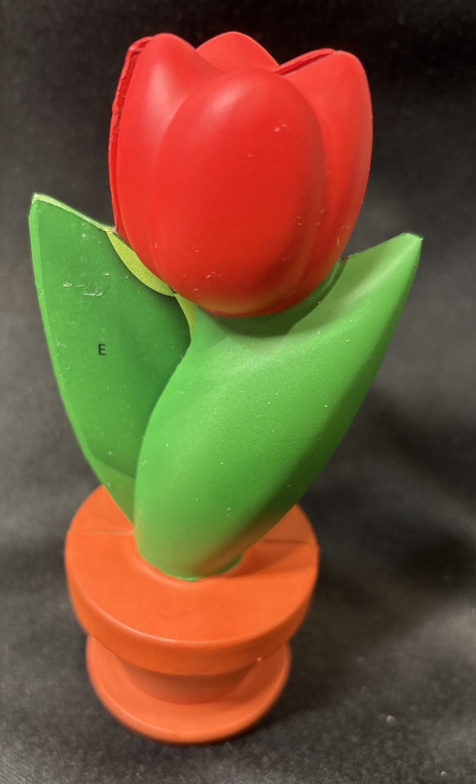 New Learning Resources Cross-Section Flower Model designed for biology education