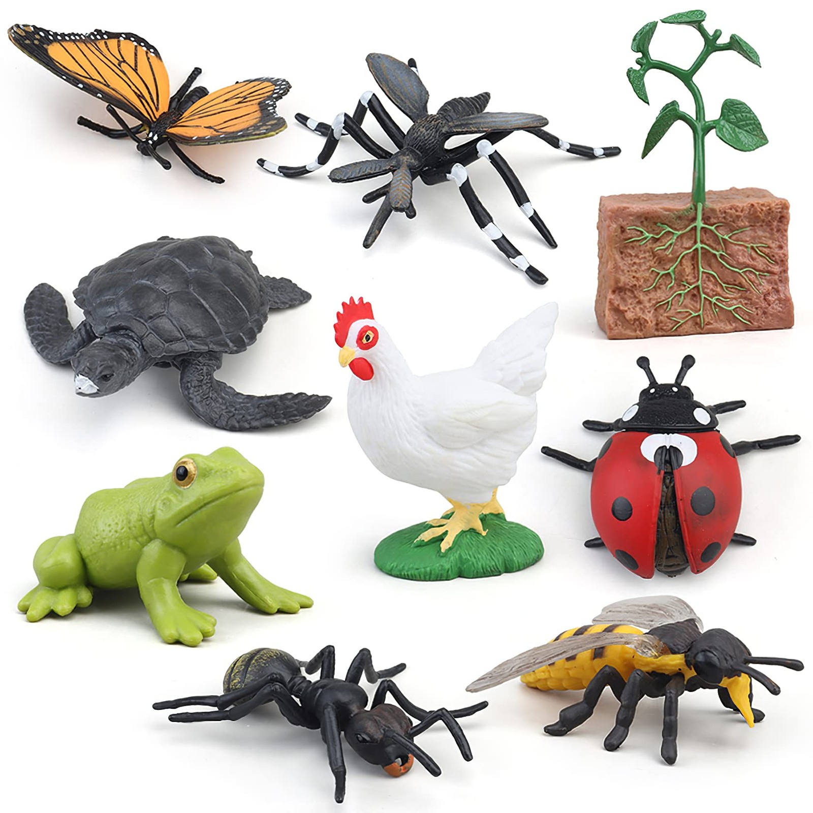 MIKNEKE Montessori Frog Life Cycle with Flash Cards, Plastic Insects Tadpole to