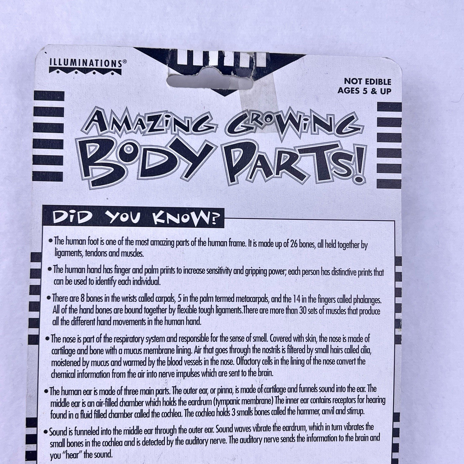 1998 Amazing Growing Body Parts Nose And Ear Illuminations Dead-Stock Halloween