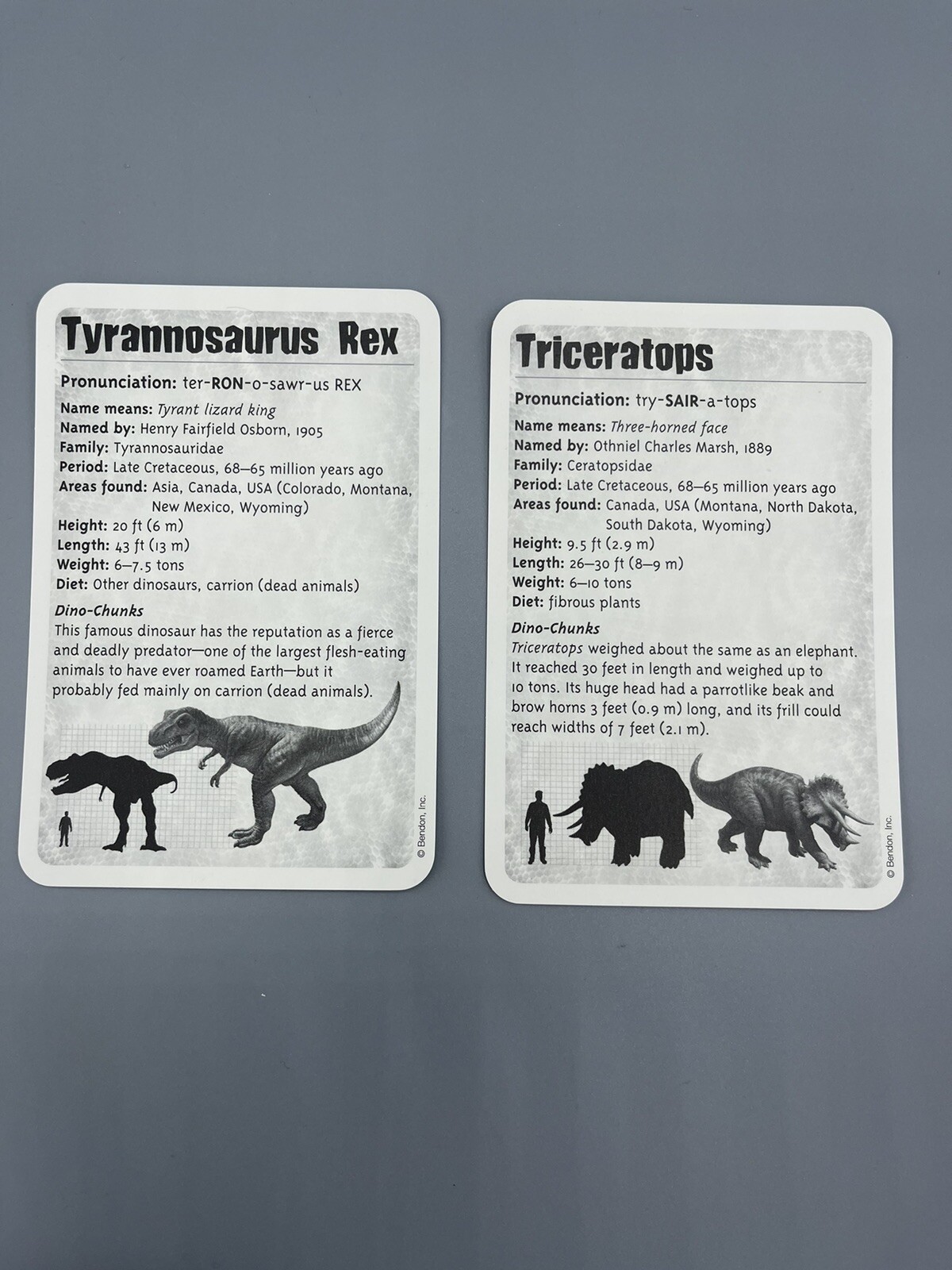 Bendon Dinosaurs Our World Flash Cards 36 Flashcards New
