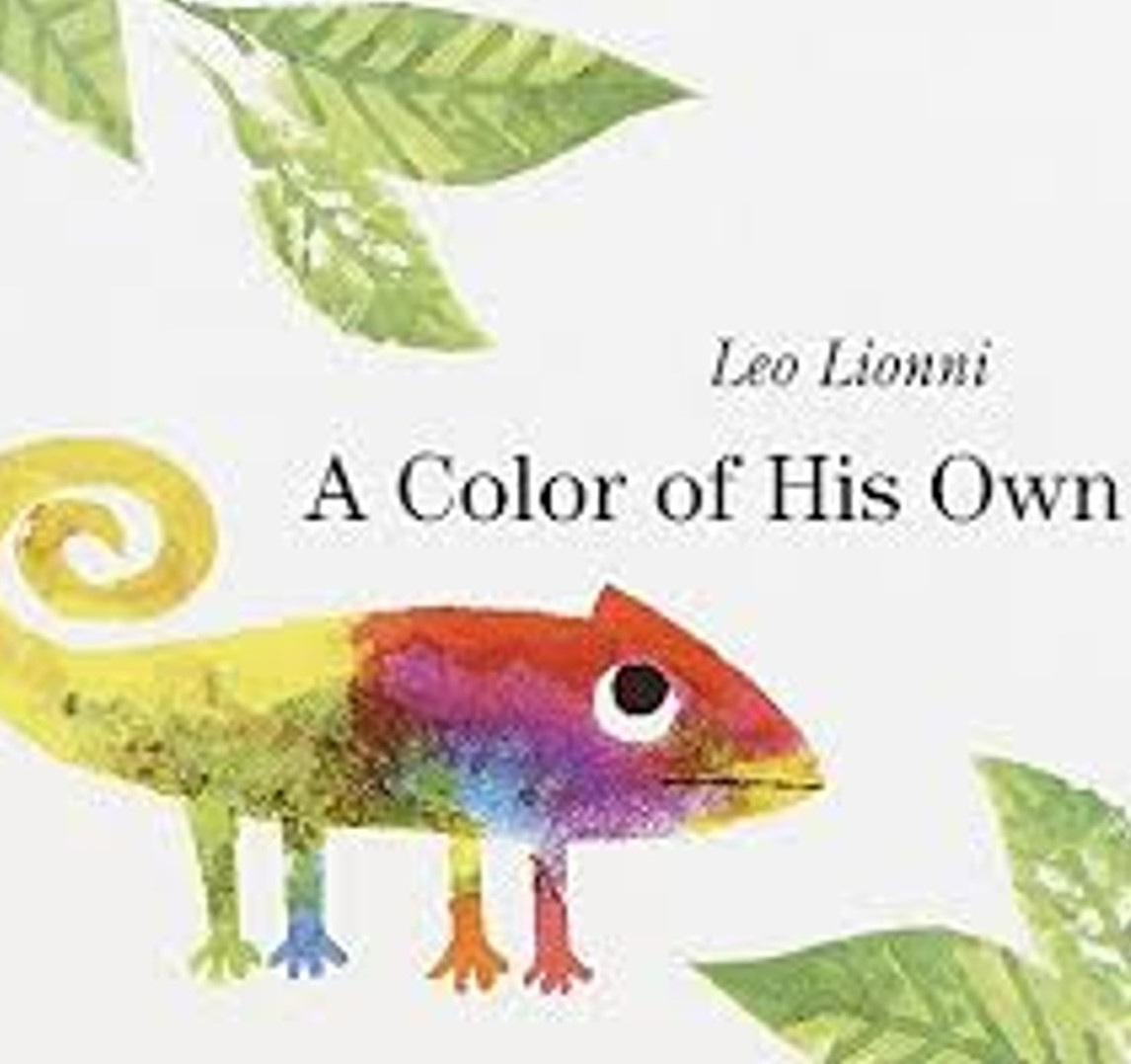 A Color of His Own Fun Felt Set for Felt Boards & Learning Play