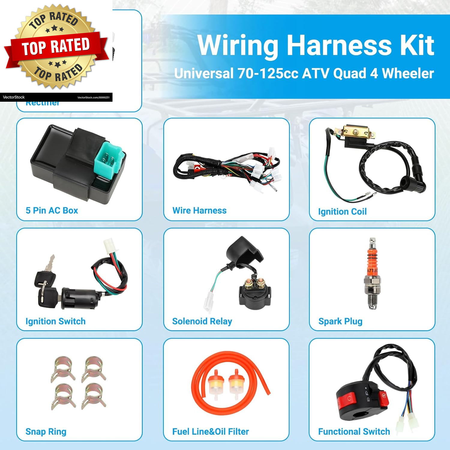 Electric Wiring Harness Kit Compatible with Taotao Coolster 110Cc 125Cc Chinese
