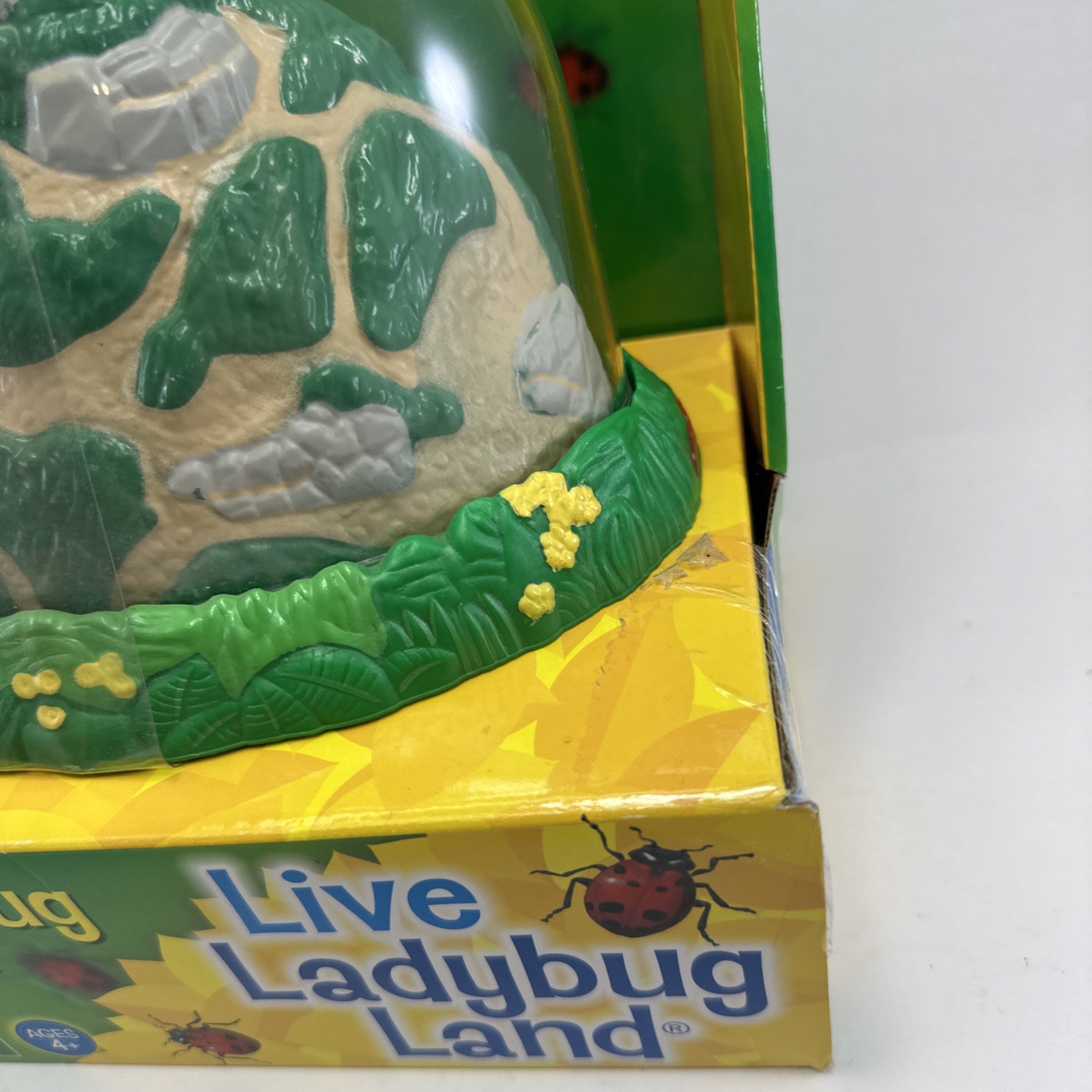 Insect Lore Real Ladybug Hatching Kit Live Ladybug Land 2100 New