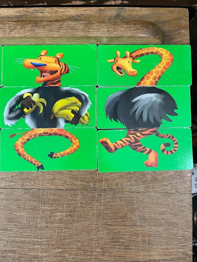 Put Your Left Paw In Jungle Hokey Pokey Magnetic Puzzles Animal Mix and Match