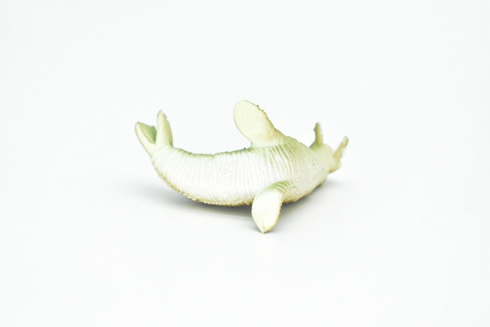 Walrus, Very Nice Plastic Replica 2″ – F220 B36