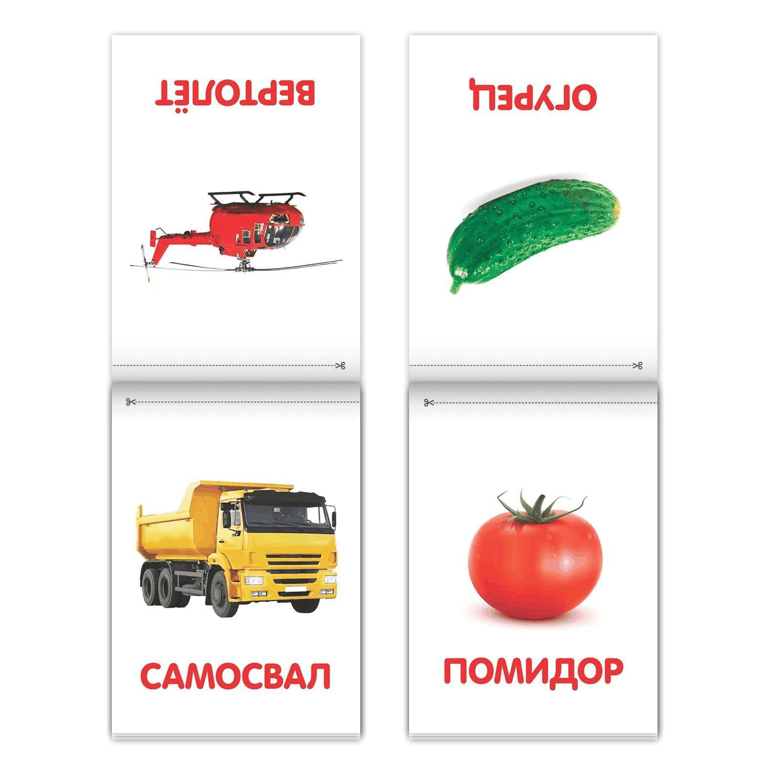 Doman Method Russian Flashcard Book Set for Learning Set 8 Topics from Farm