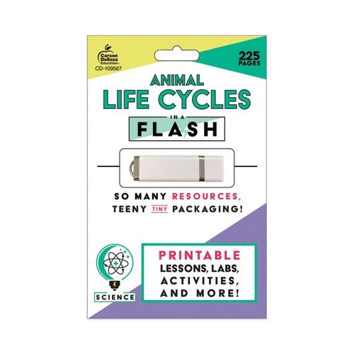 Carson-Dellosa Education In a Flash USB, Grades K to 3, 225 Pages