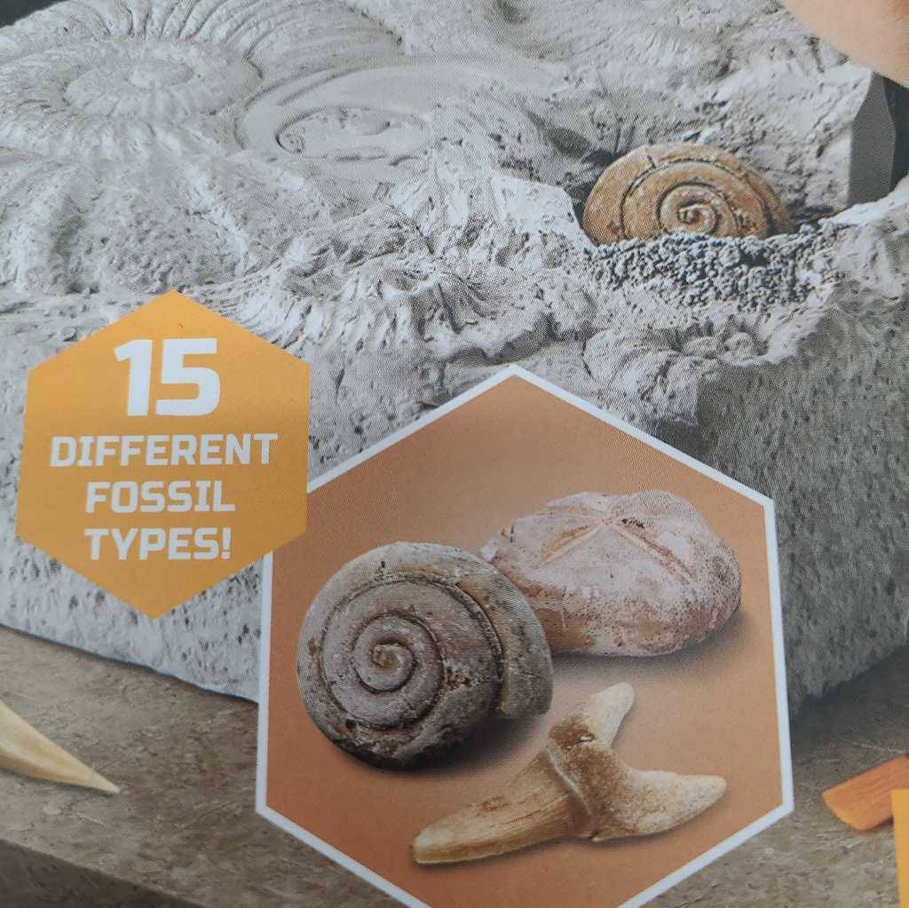 Discovery #Mindblown Colossal Fossil Dig Excavation Kit 15 Different Types New