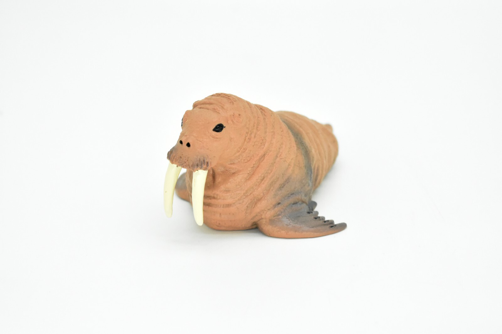 Walrus, Realistic Toy Hard Resin Model Replica, Kids Educational Gift 5″ OK05