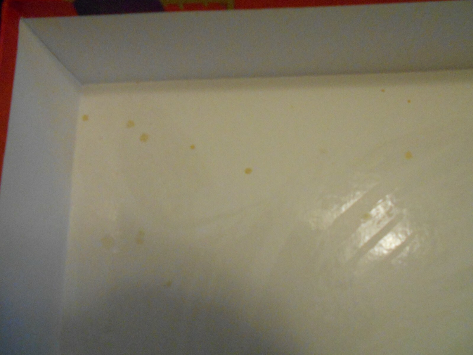 Carney’s BRAIN IN A BOX Grade 3 Educational Fun Homeschool Classroom