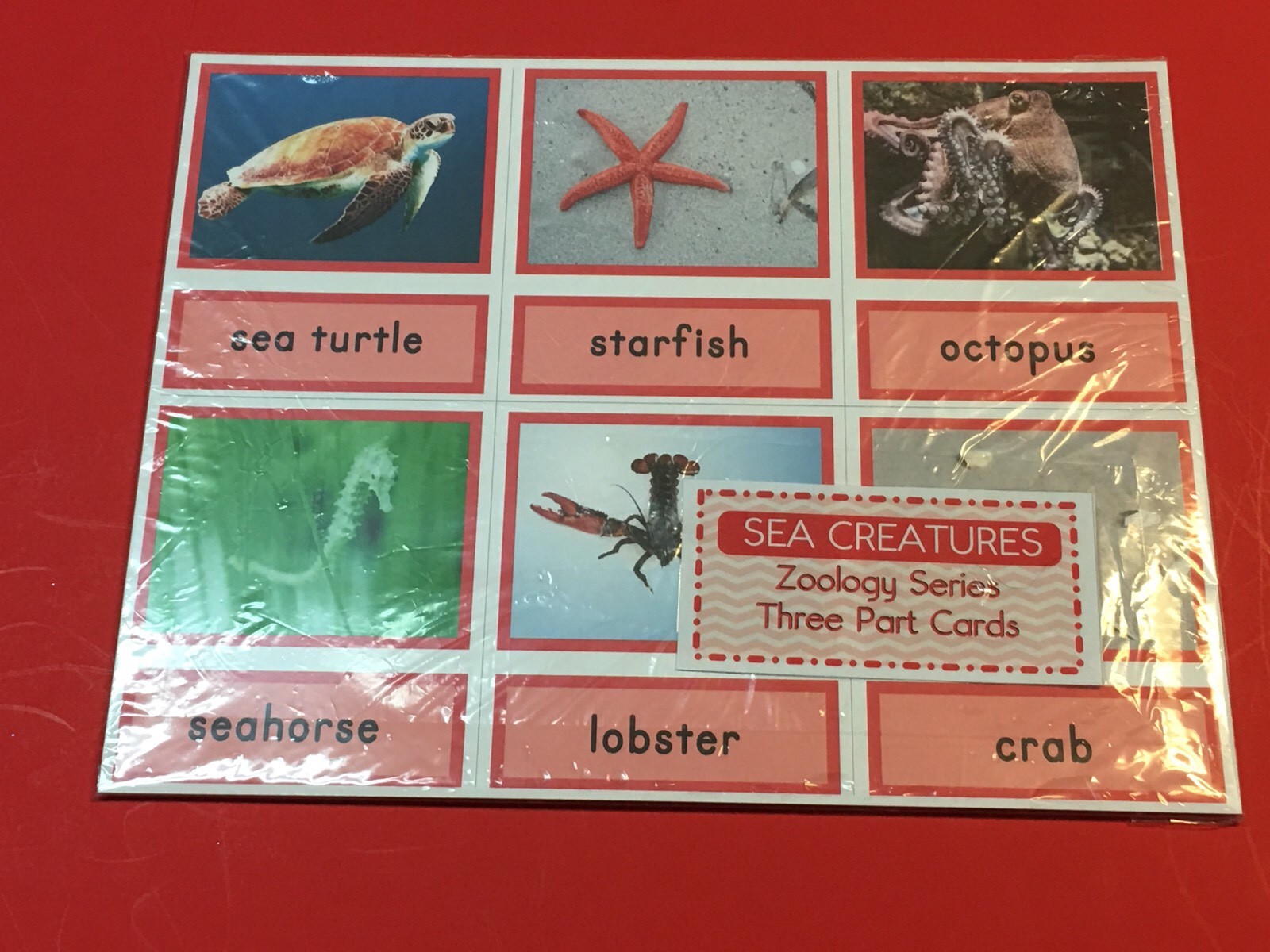 Sea Creatures- Zoology Series – Montessori 3 Three Part Card – (PRINTED) DIY