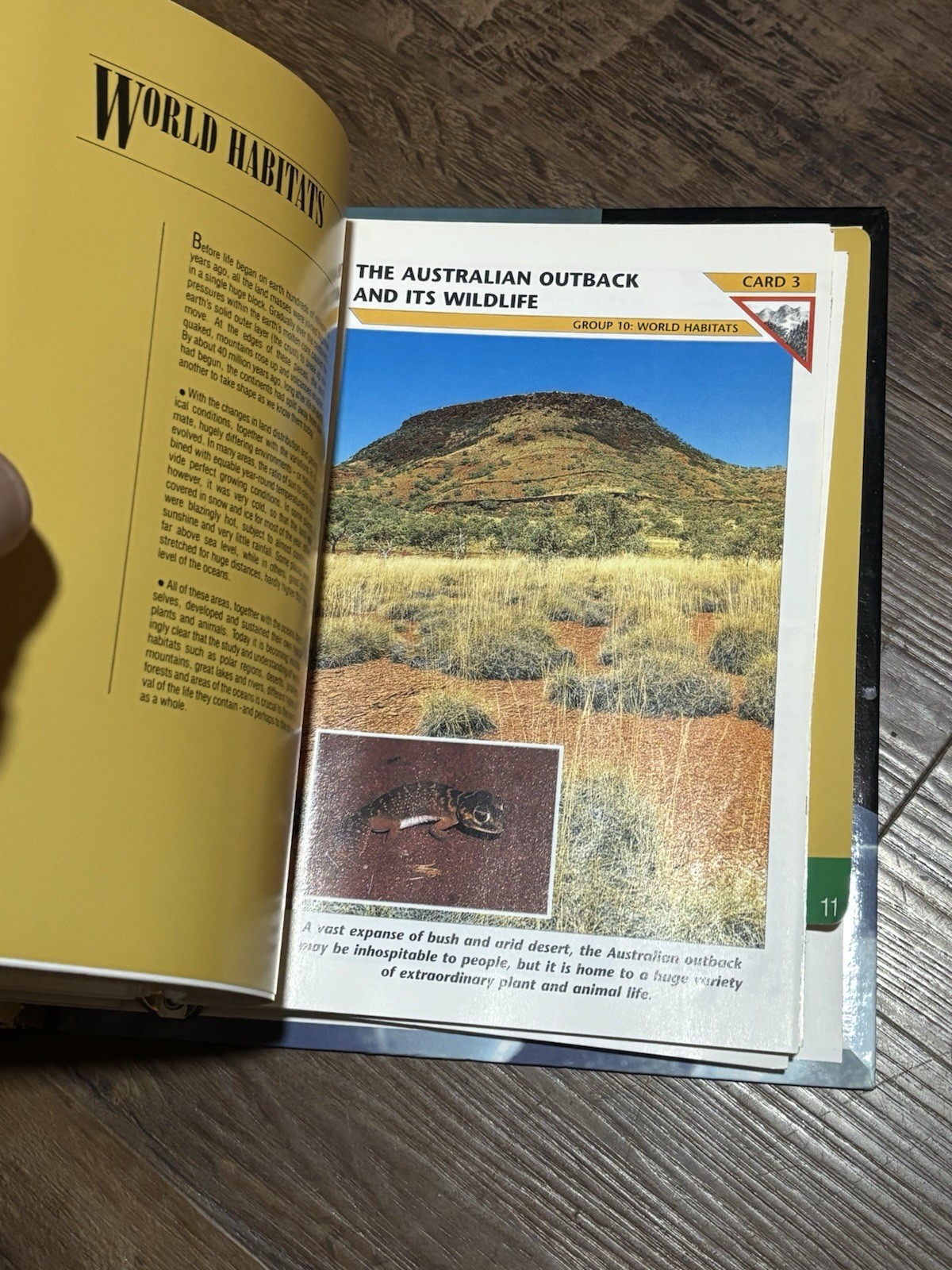 Wild Life Fact File Binders 1-11 Groups Home School Animal Identification