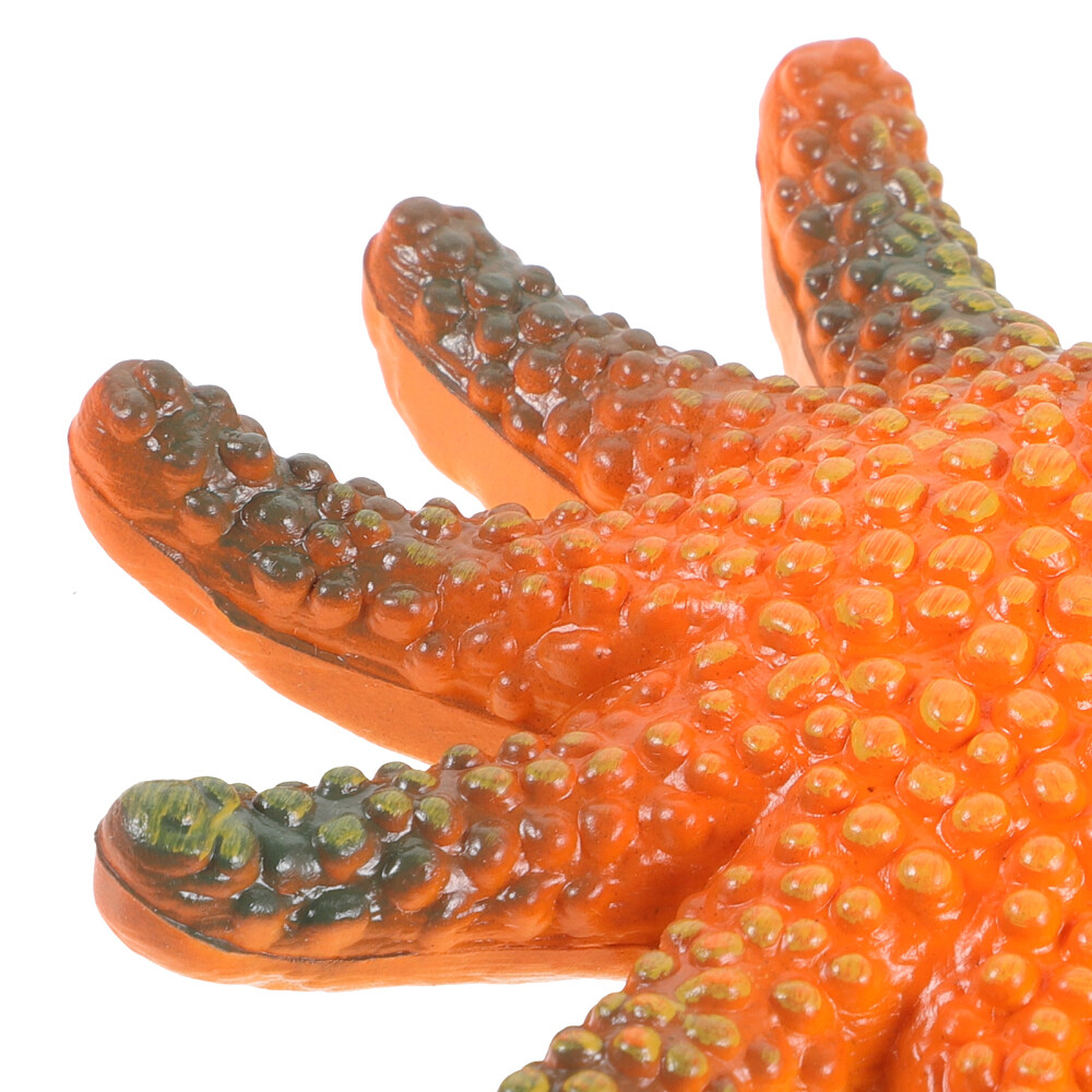 6PCS Sea Star Figurine Sea Animal Sculpture Simulation Sea Star Statue Models