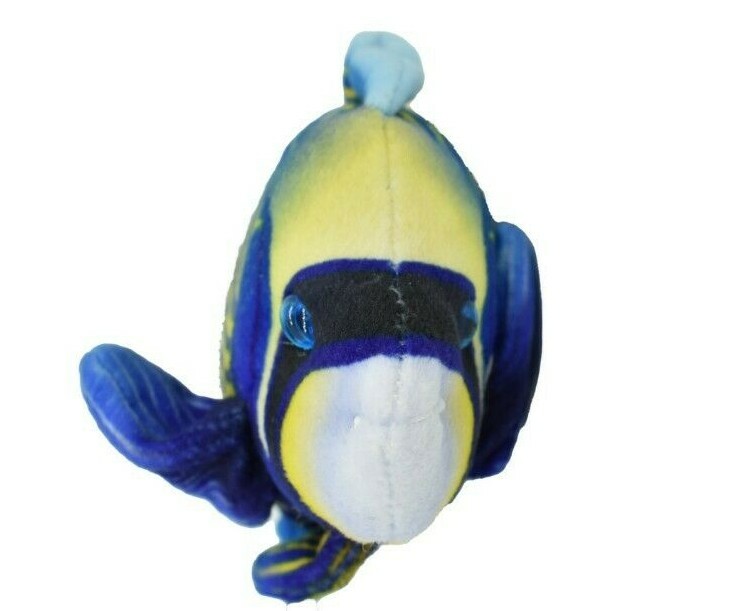 Angel Fish, Pterophyllum, Ciclids, Tropical Fish Magnet 5 1/2″ CWG30BB3