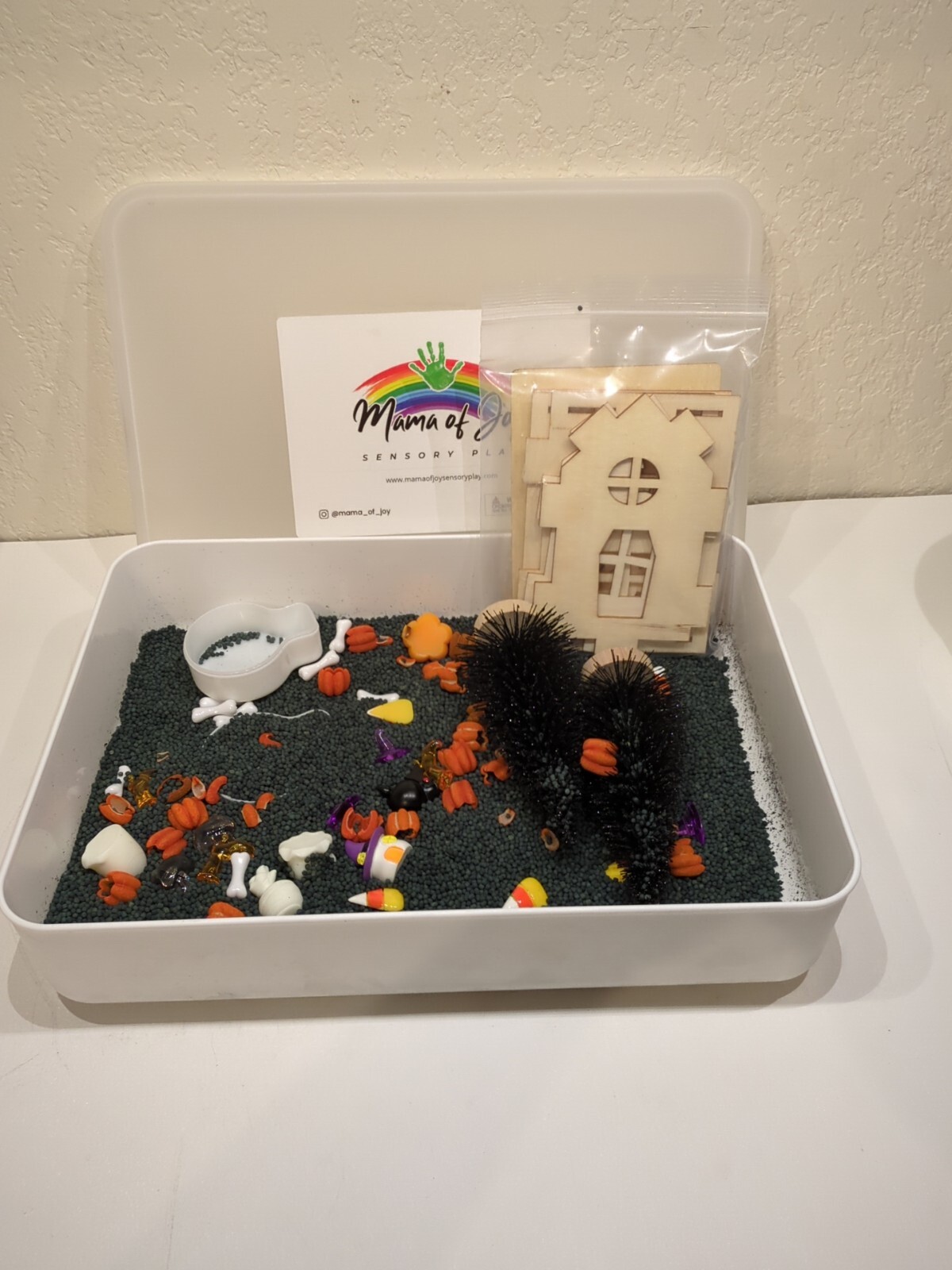 Mama Of Joy Sensory Play Halloween Set
