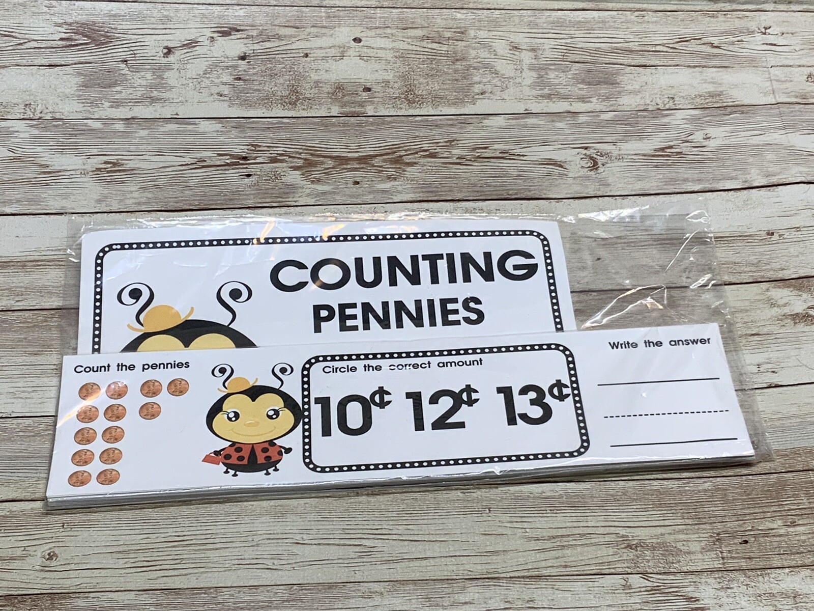 Lady Bug – Themed Learning Centers – Laminated – Counting Pennies
