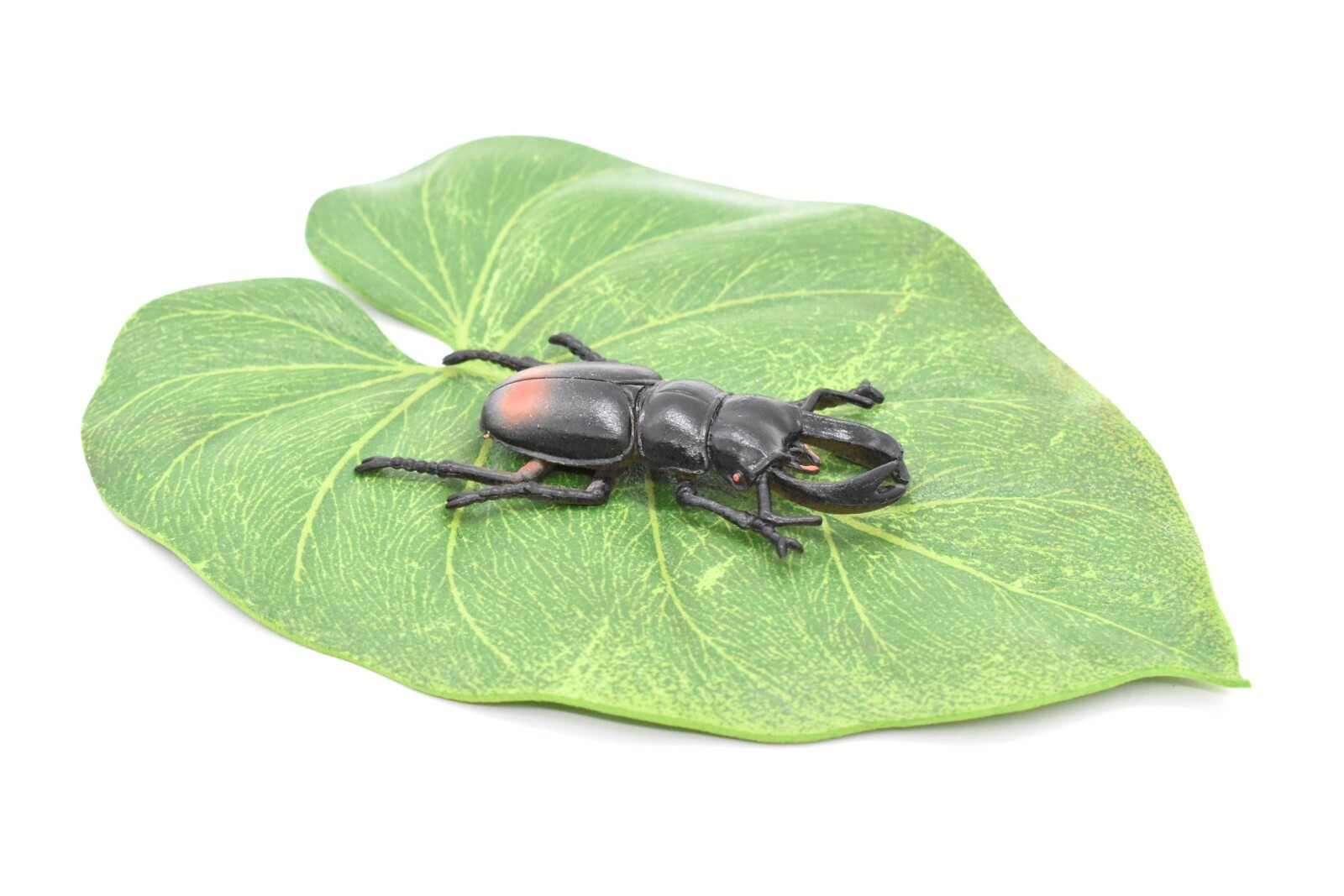 Stag Beetle, Very Nice Rubber Reproduction 2 1/2″ CWG06 B13