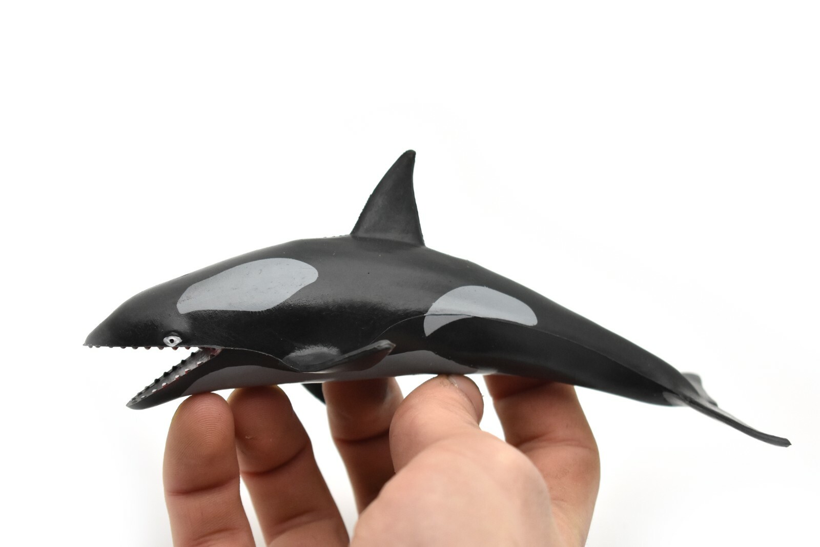 Orca, Killer Whale, Realistic Model Rubber Replica Animal, Kids Gift OK03 6″
