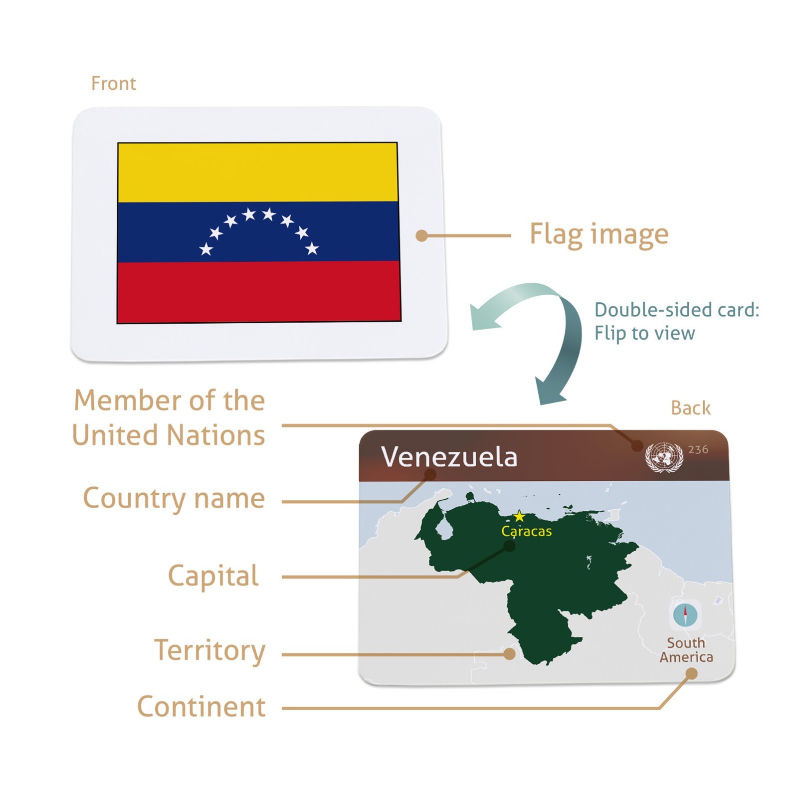 Flags of the World Educational Flashcards