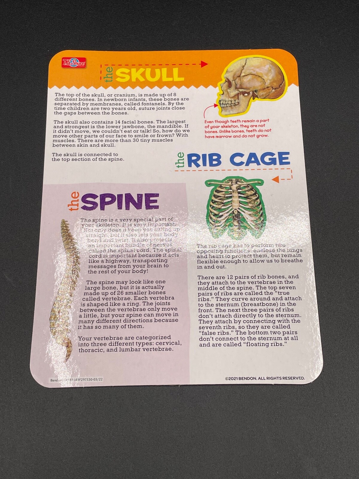 Magnetic Learning Activity S.T.E.M. Educational, Set of 3