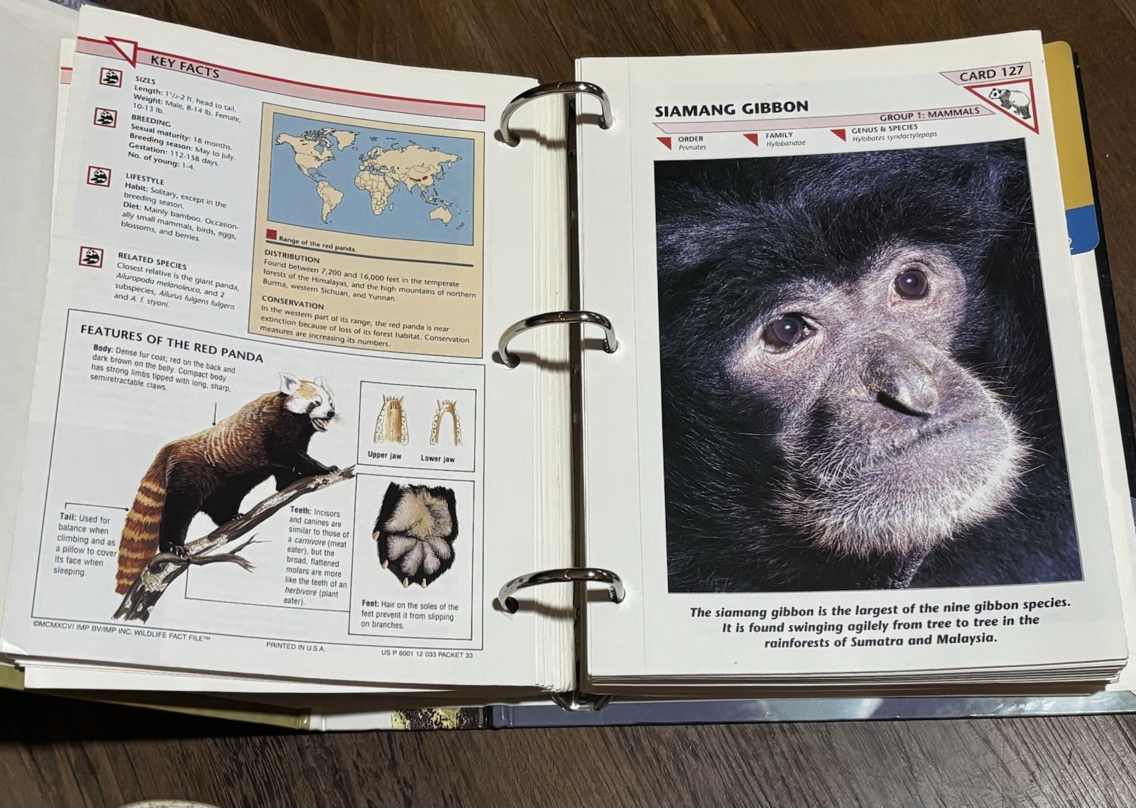 Wild Life Fact File Binders 1-11 Groups Home School Animal Identification