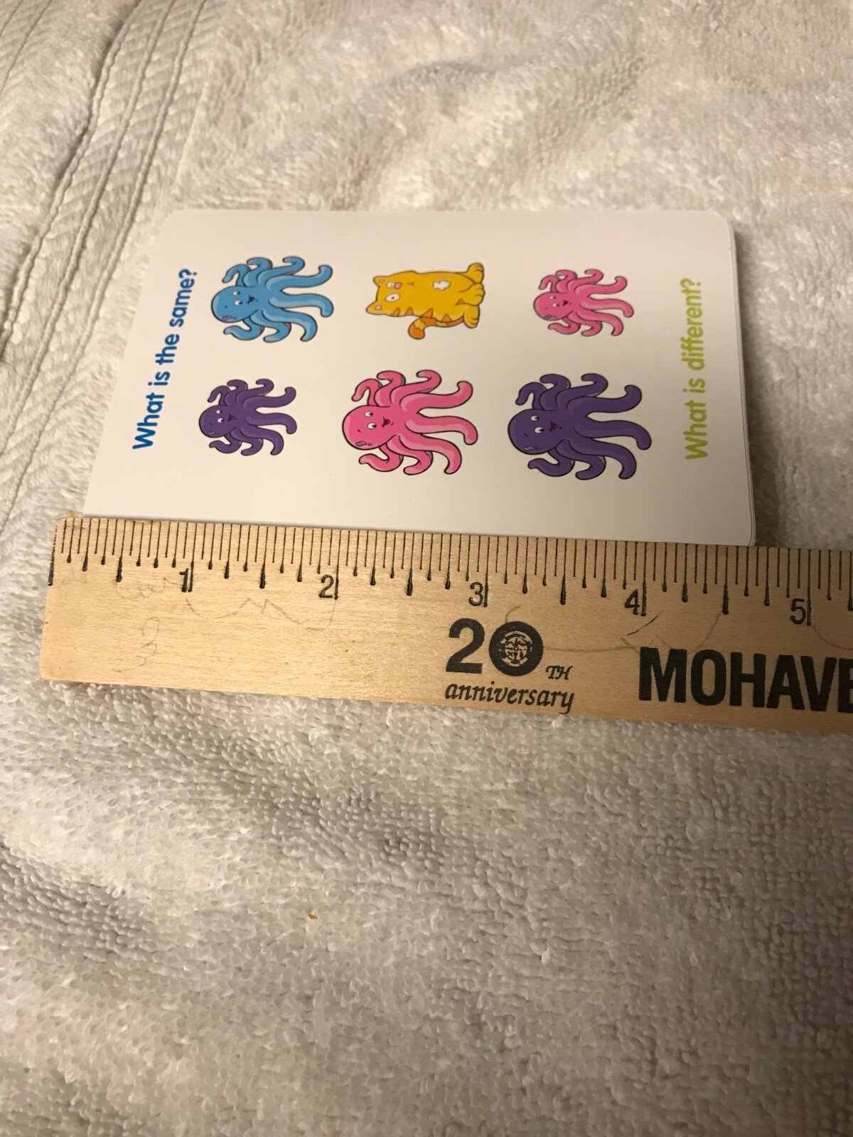 Flash Cards By Bendon – Ages 2+ – 36 Cards – Same or Different